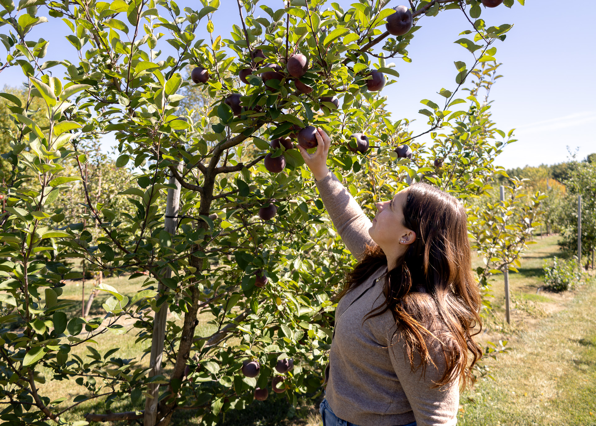 Alicia - Ottawa photographer