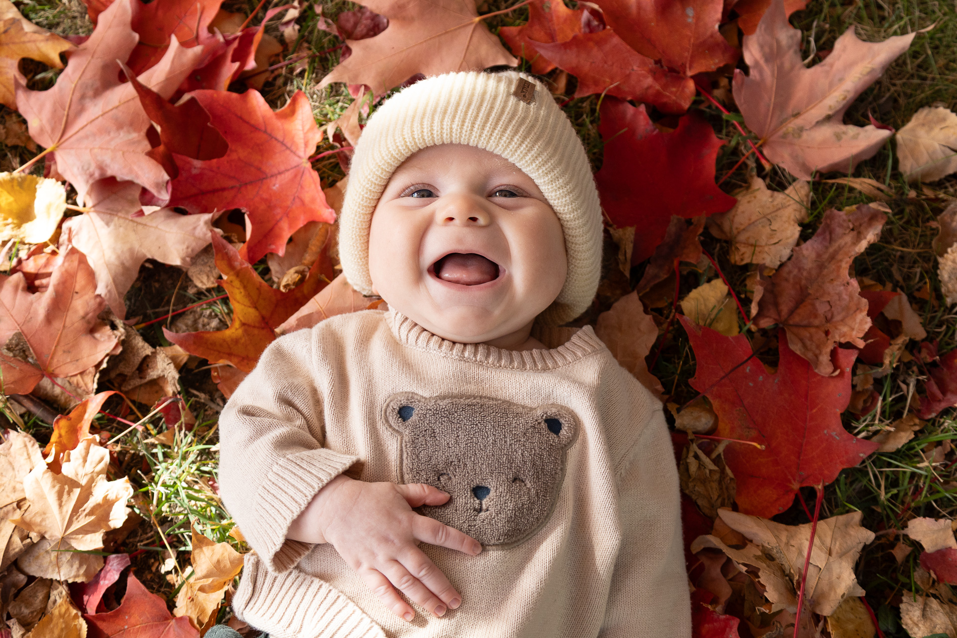 Family photography in Ottawa's fall colors